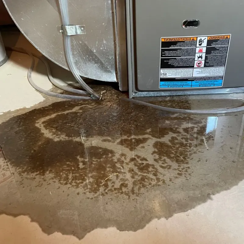 Pipe Burst and Leak Restoration in Lake Katrine, NY